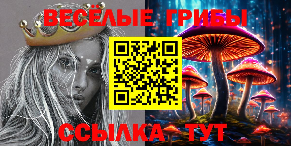 Псилоцибиновые грибы прущие грибы Берёзовский